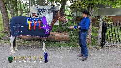 Fantastic Dj Valentin - Paint Horse - Pipoutn plemennm hebcem